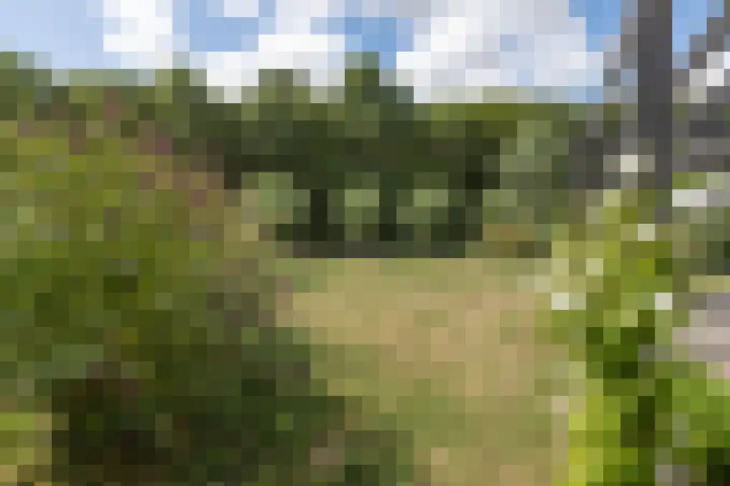Reimslaan 171 Almere thumbnail 26