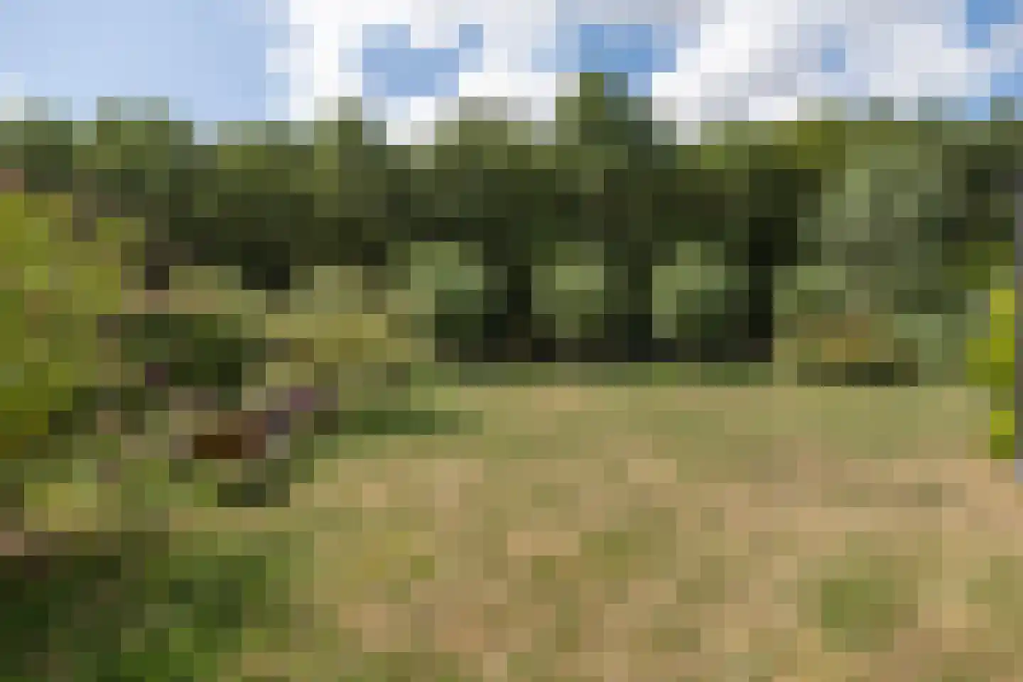 Reimslaan 171 Almere thumbnail 28