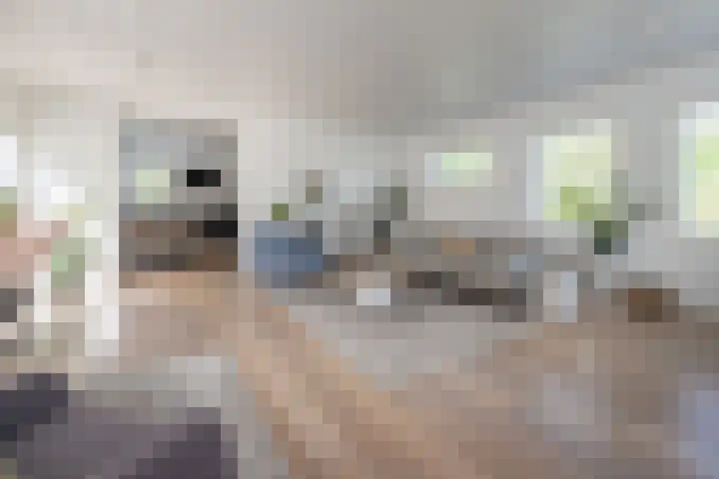Reimslaan 171 Almere thumbnail 7
