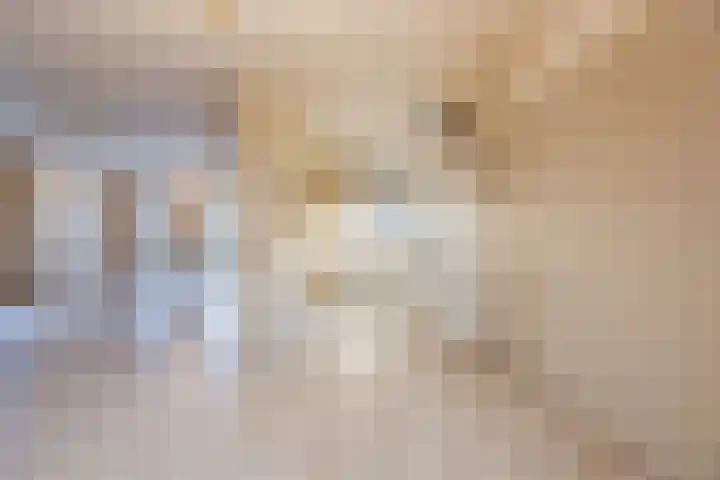 Reimslaan 3 Eindhoven thumbnail 13