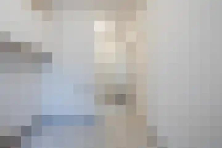 Reimslaan 3 Eindhoven thumbnail 15
