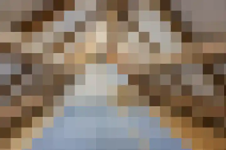 Reimslaan 3 Eindhoven thumbnail 29