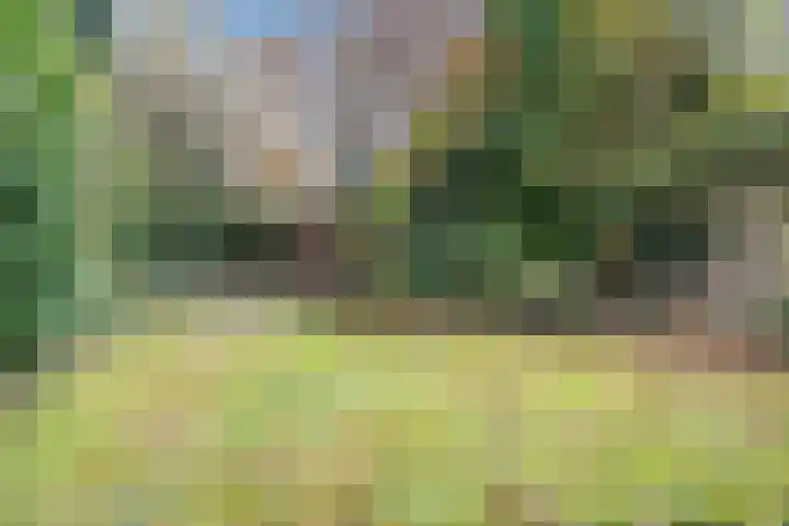 Reimslaan 3 Eindhoven thumbnail 32