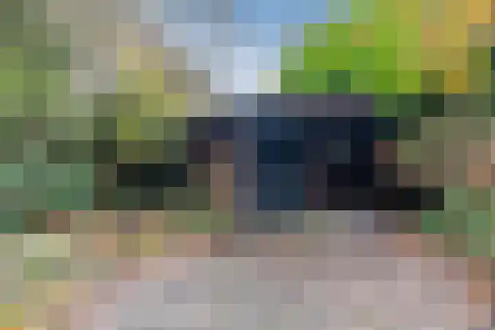 Reimslaan 3 Eindhoven thumbnail 33