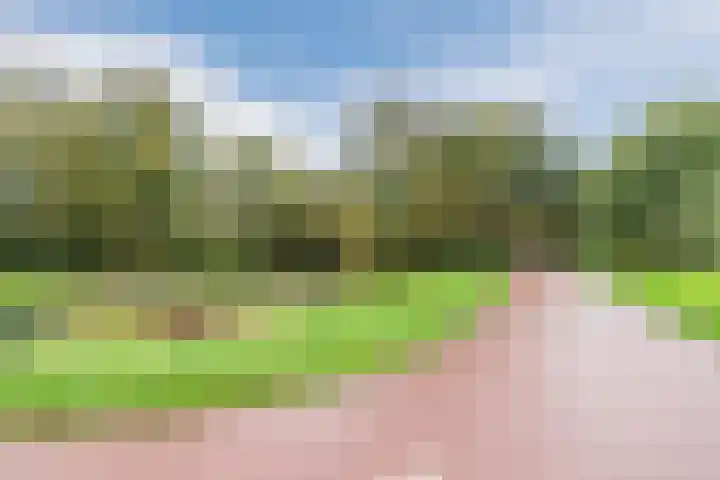 Reimslaan 3 Eindhoven thumbnail 34