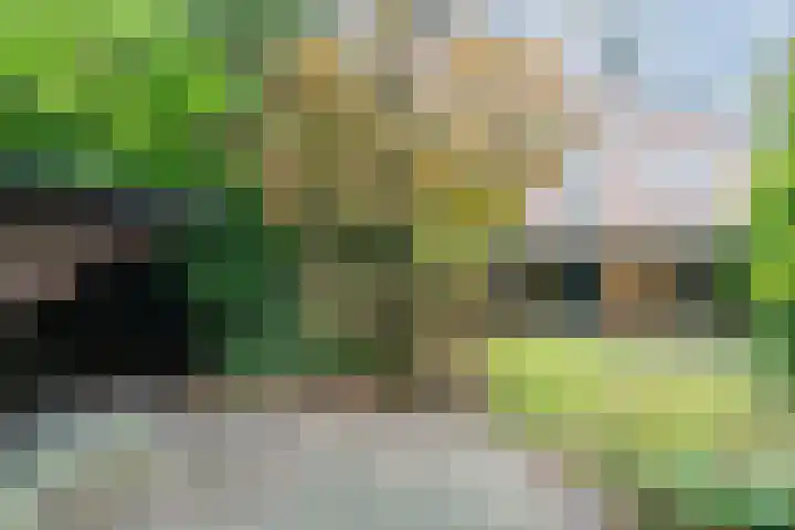 Reimslaan 3 Eindhoven thumbnail 5