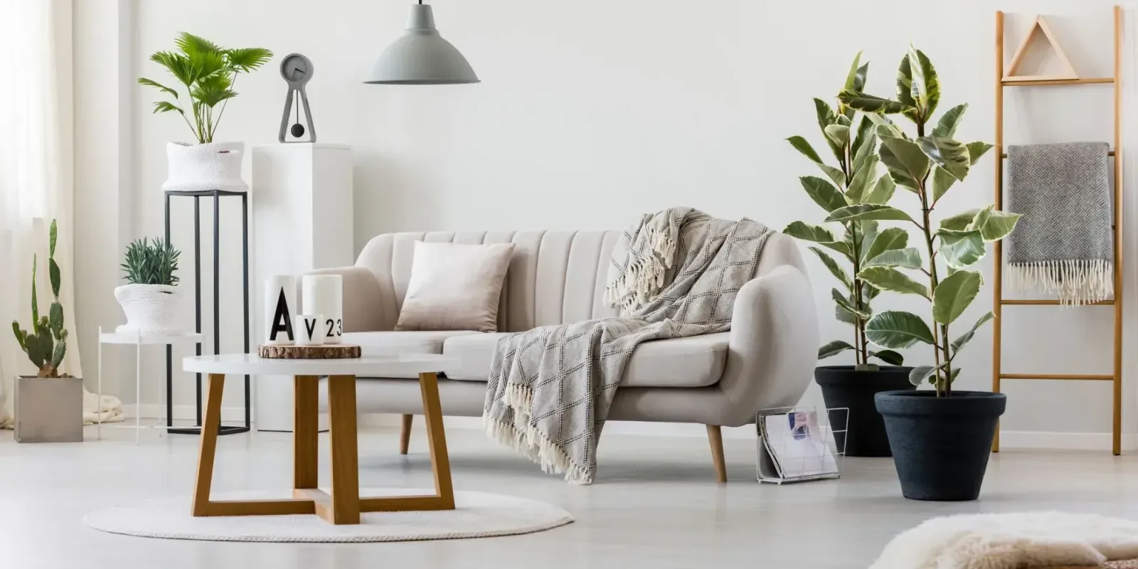 Photo d'équipe de Reimus Makelaardij