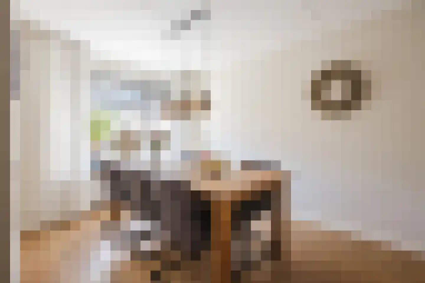 Rein de Jongstraat 10 Heerde thumbnail 11