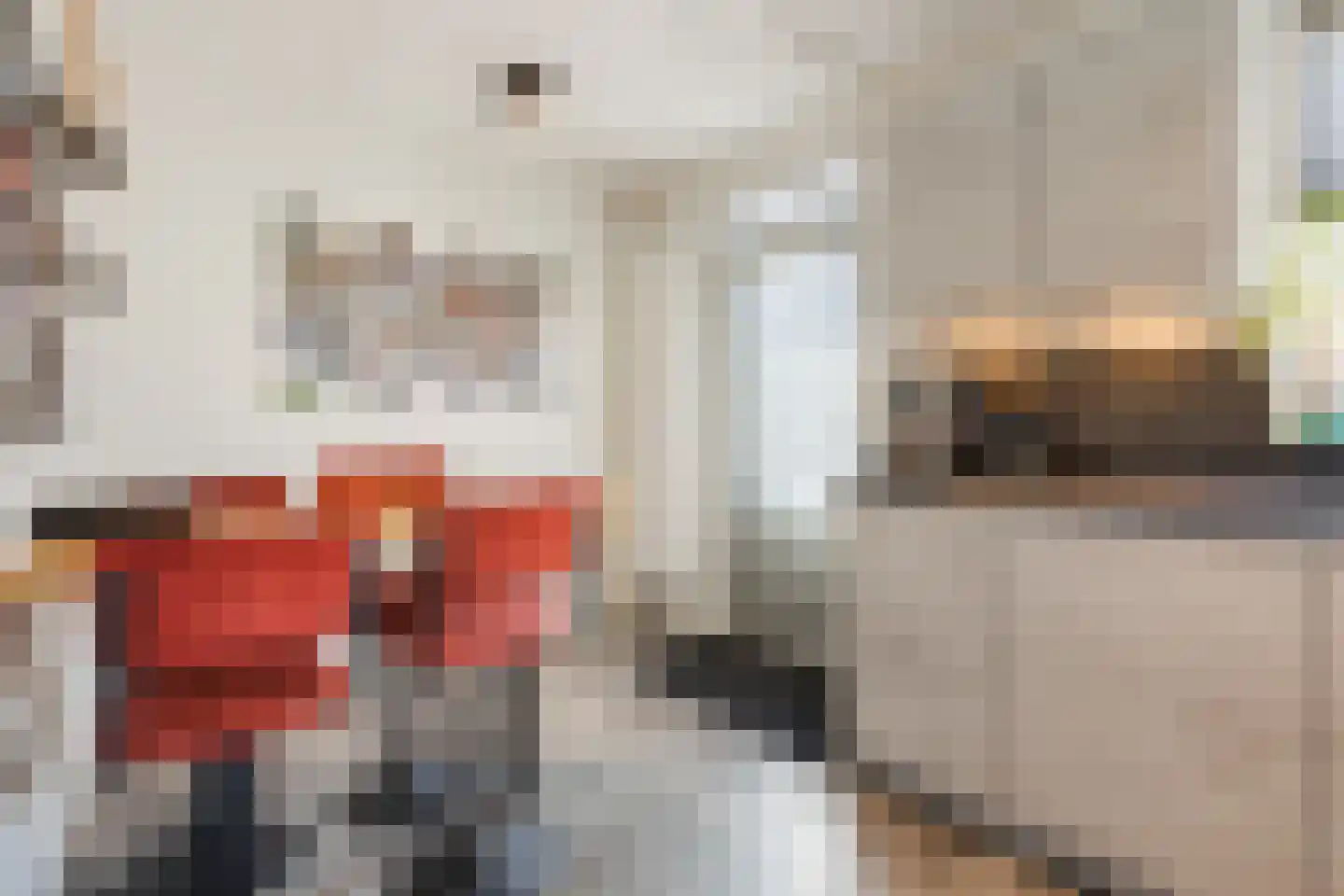 Rein de Jongstraat 10 Heerde thumbnail 18