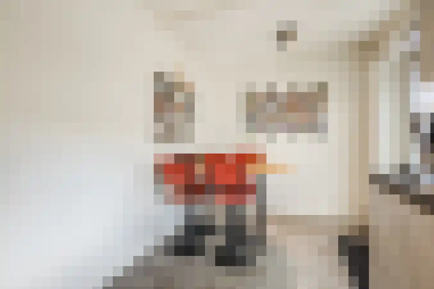 Rein de Jongstraat 10 Heerde thumbnail 19