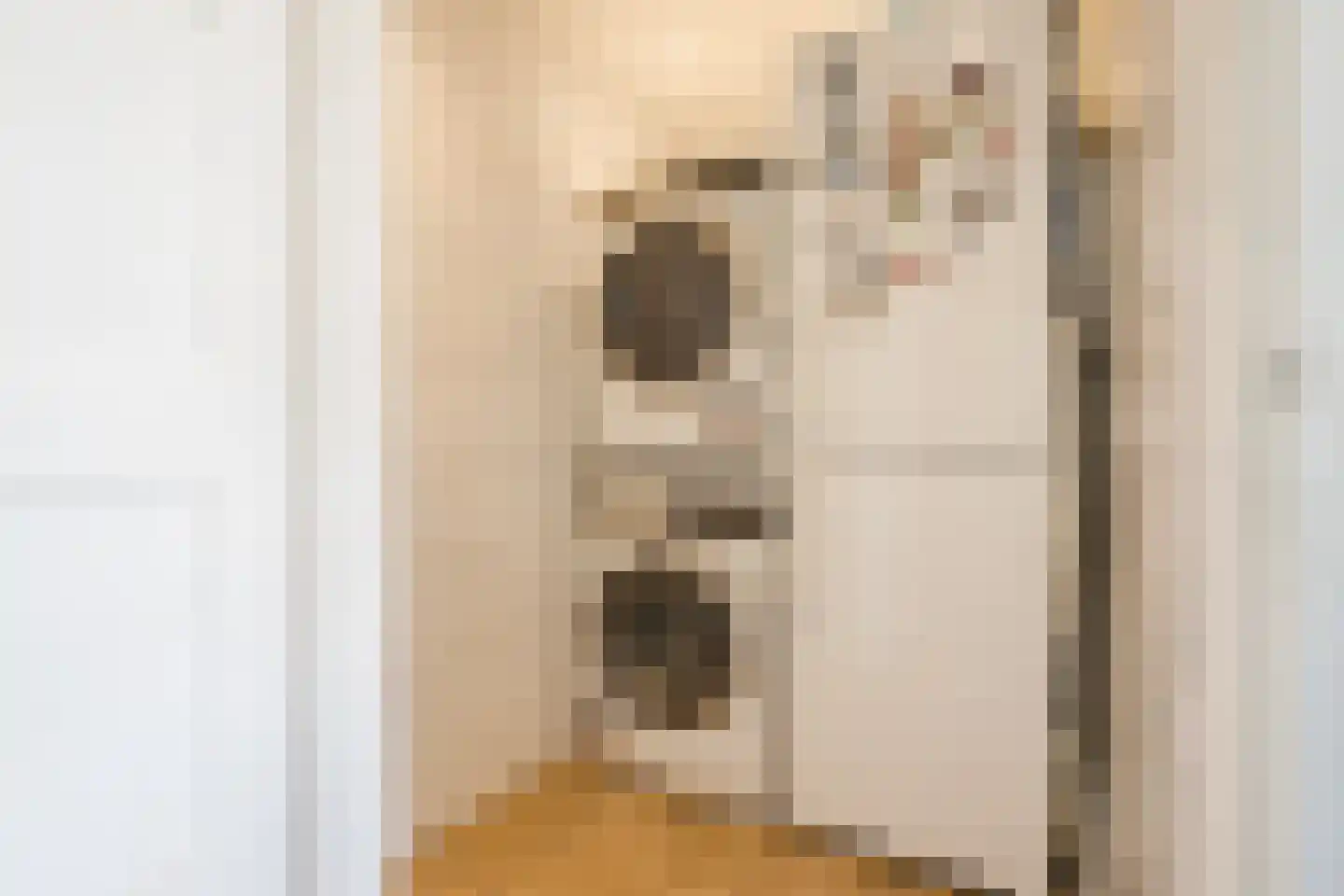Rein de Jongstraat 10 Heerde thumbnail 20