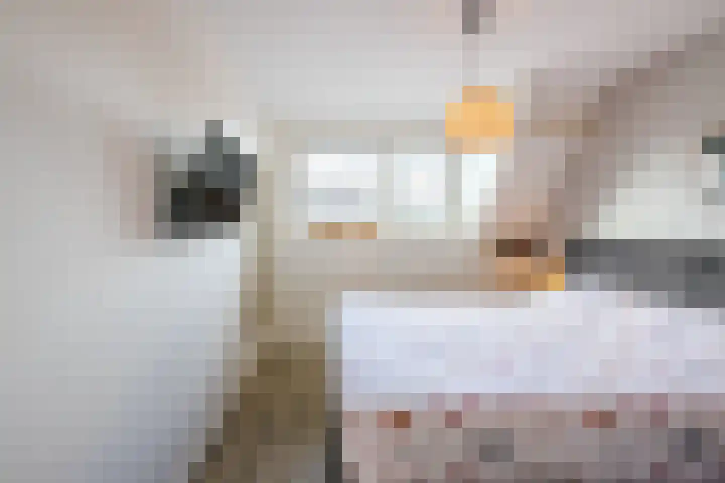 Rein de Jongstraat 10 Heerde thumbnail 25