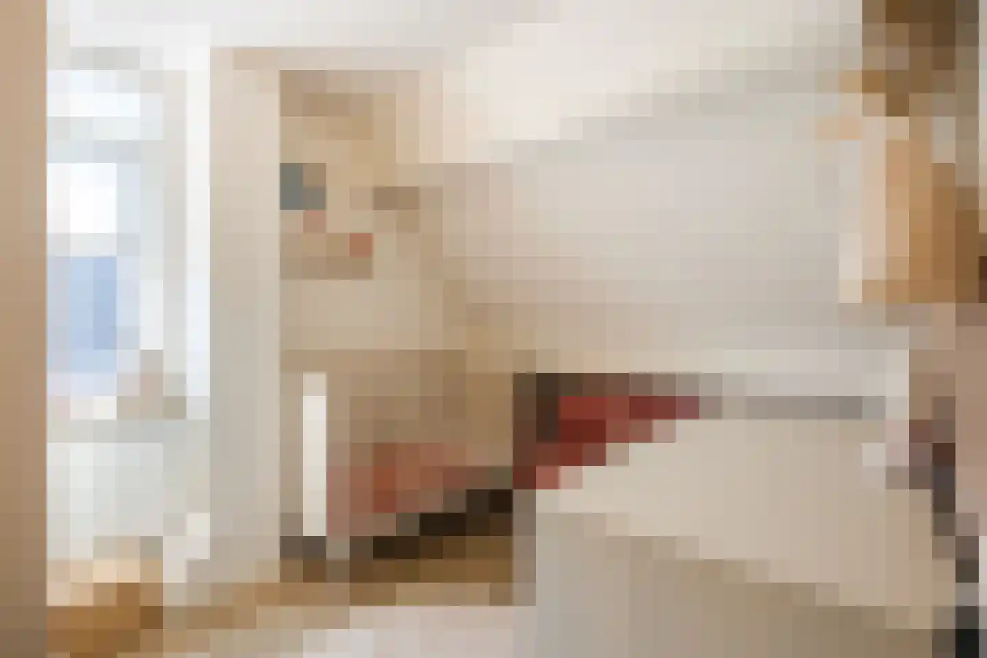 Rein de Jongstraat 10 Heerde thumbnail 30