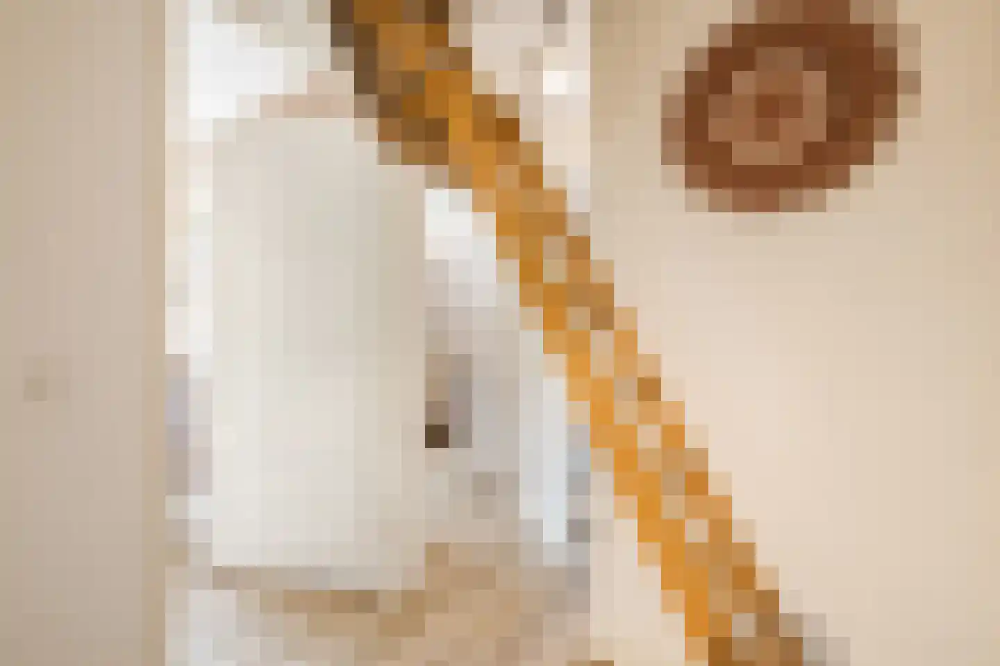 Rein de Jongstraat 10 Heerde thumbnail 34