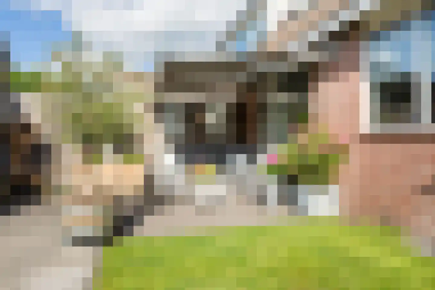 Rein de Jongstraat 10 Heerde thumbnail 40