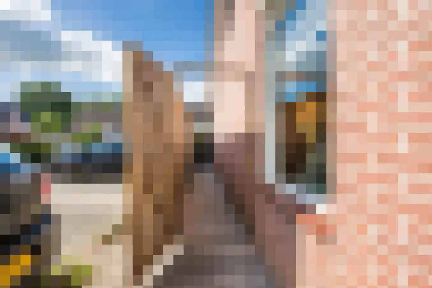 Rein de Jongstraat 10 Heerde thumbnail 47