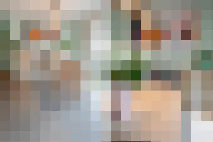 Reina Prinsen Geerligsdreef 79 Hoofddorp thumbnail 12