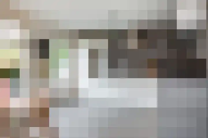 Reina Prinsen Geerligsdreef 79 Hoofddorp thumbnail 13