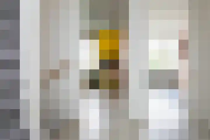 Reina Prinsen Geerligsdreef 79 Hoofddorp thumbnail 17