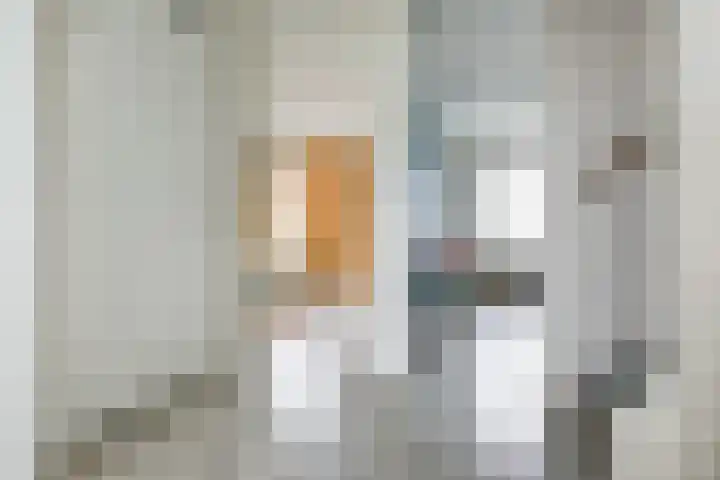 Reina Prinsen Geerligsdreef 79 Hoofddorp thumbnail 23