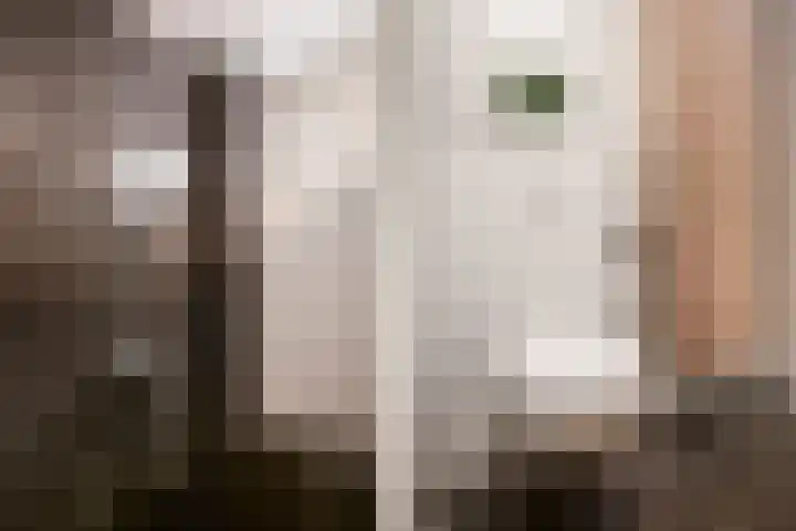 Reina Prinsen Geerligsdreef 79 Hoofddorp thumbnail 28
