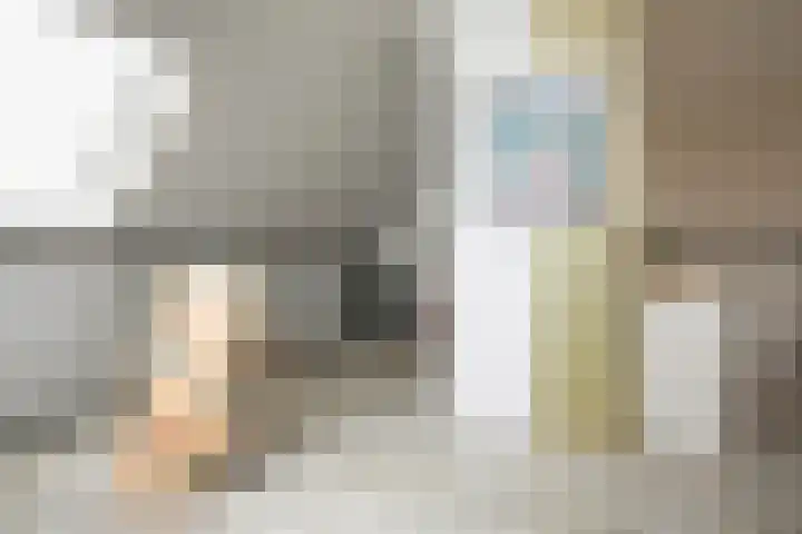 Reina Prinsen Geerligsdreef 79 Hoofddorp thumbnail 34