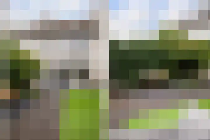 Reina Prinsen Geerligsdreef 79 Hoofddorp thumbnail 37