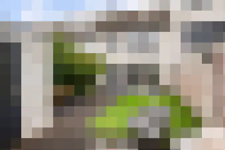 Reina Prinsen Geerligsdreef 79 Hoofddorp thumbnail 38