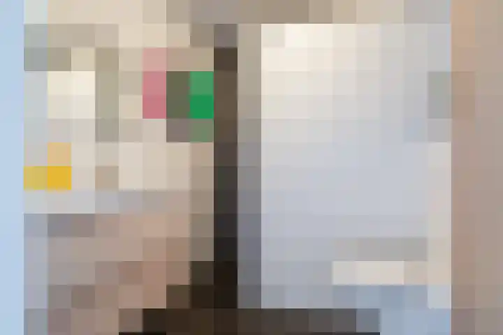 Reina Prinsen Geerligsdreef 79 Hoofddorp thumbnail 4