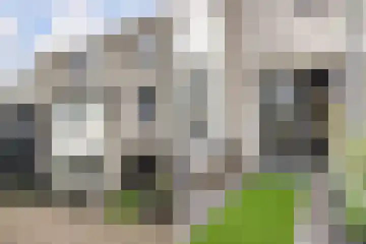 Reina Prinsen Geerligsdreef 79 Hoofddorp thumbnail 5