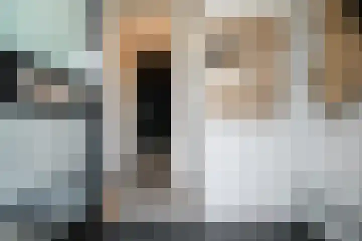 Reina Prinsen Geerligsdreef 79 Hoofddorp thumbnail 6