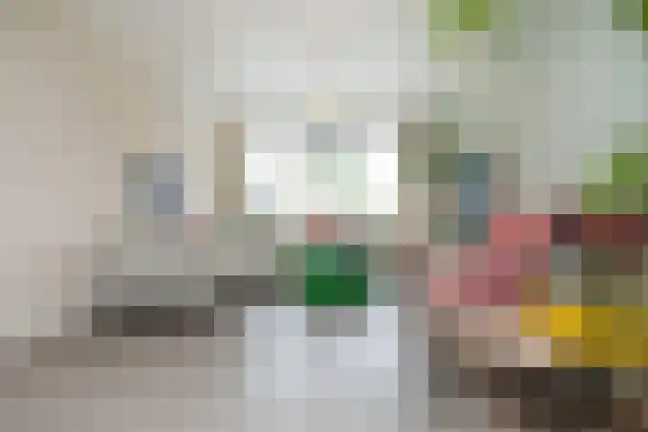 Reina Prinsen Geerligsdreef 79 Hoofddorp thumbnail 8
