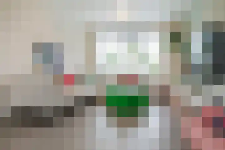 Reina Prinsen Geerligsdreef 79 Hoofddorp thumbnail 9