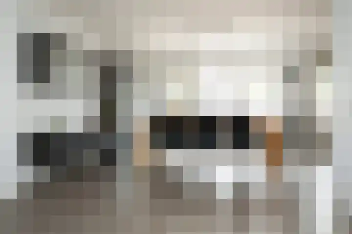 Reina Prinsen Geerligsdreef 87 Hoofddorp thumbnail 10