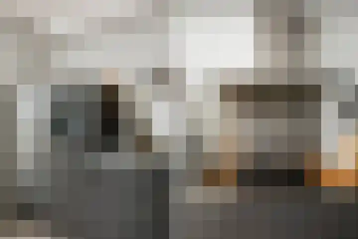 Reina Prinsen Geerligsdreef 87 Hoofddorp thumbnail 11