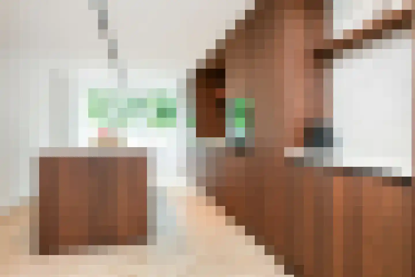 Reina Prinsen Geerligsdreef 87 Hoofddorp thumbnail 12