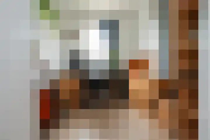 Reina Prinsen Geerligsdreef 87 Hoofddorp thumbnail 13