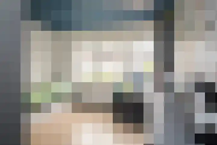 Reina Prinsen Geerligsdreef 87 Hoofddorp thumbnail 14