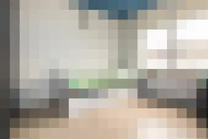 Reina Prinsen Geerligsdreef 87 Hoofddorp thumbnail 15