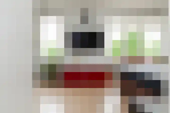 Reina Prinsen Geerligsdreef 87 Hoofddorp thumbnail 18