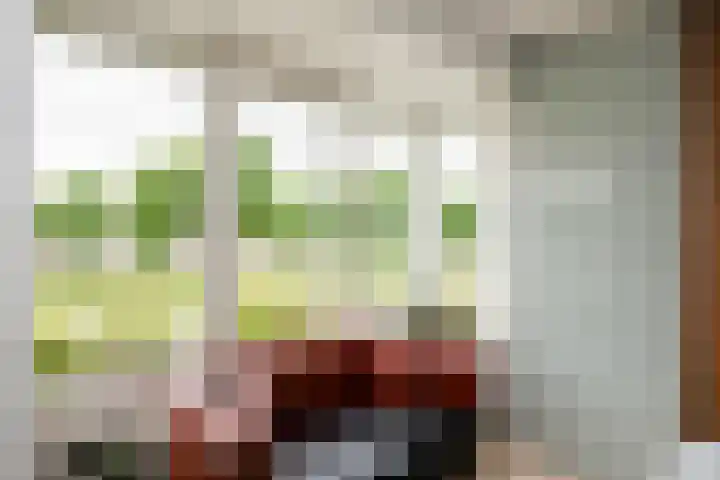 Reina Prinsen Geerligsdreef 87 Hoofddorp thumbnail 19