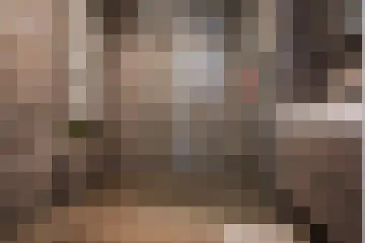 Reina Prinsen Geerligsdreef 87 Hoofddorp thumbnail 21