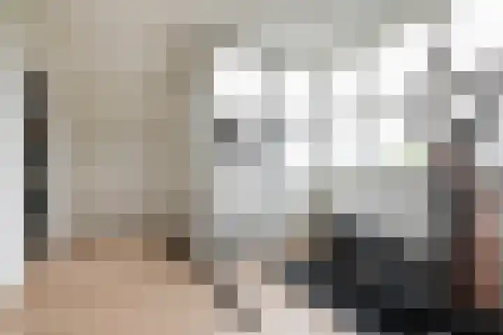 Reina Prinsen Geerligsdreef 87 Hoofddorp thumbnail 29