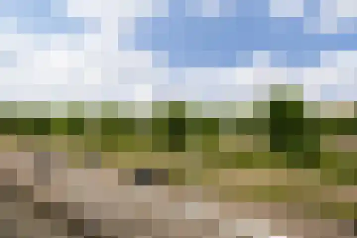 Reina Prinsen Geerligsdreef 87 Hoofddorp thumbnail 33