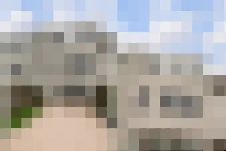 Reina Prinsen Geerligsdreef 87 Hoofddorp thumbnail 36