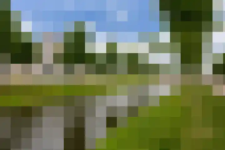 Reina Prinsen Geerligsdreef 87 Hoofddorp thumbnail 37