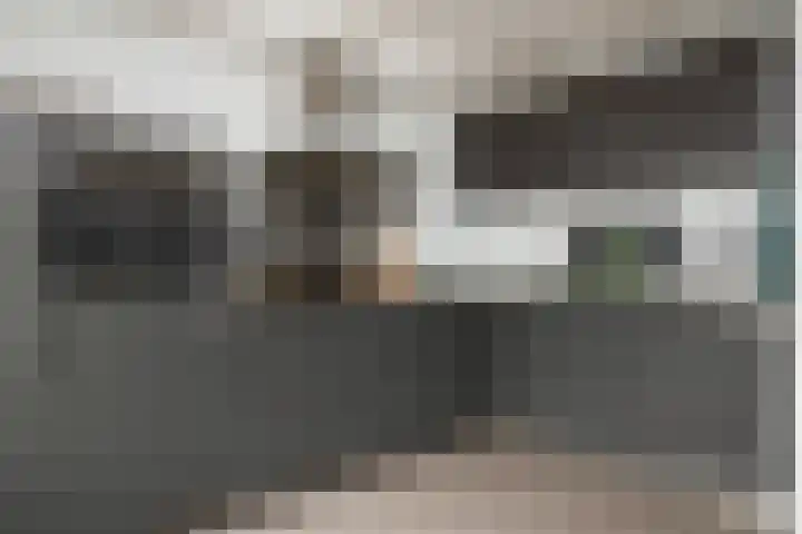 Reina Prinsen Geerligsdreef 87 Hoofddorp thumbnail 4