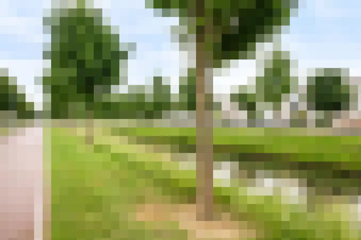 Reina Prinsen Geerligsdreef 87 Hoofddorp thumbnail 46