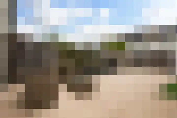 Reina Prinsen Geerligsdreef 87 Hoofddorp thumbnail 5