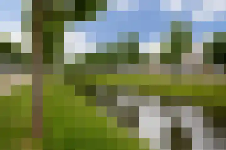 Reina Prinsen Geerligsdreef 87 Hoofddorp thumbnail 6